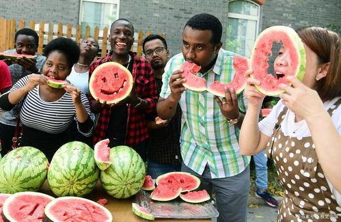 吃瓜刘某,揭秘娱乐圈幕后故事