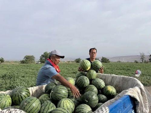 一峰吃瓜,揭秘娱乐圈幕后故事