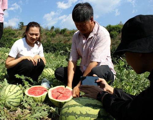 广西的吃瓜群众,广西“吃瓜群众”的美食探秘之旅