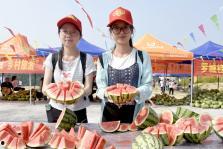 广西的吃瓜群众,广西“吃瓜群众”的美食探秘之旅