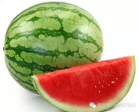 吃瓜必须顶呱呱,顶呱呱的观瓜指南