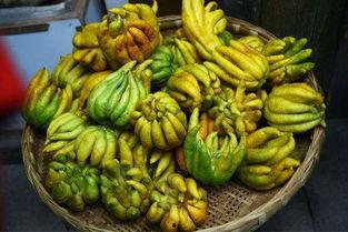 佛手瓜是什么样怎么吃,佛手瓜的形态与美味食用指南