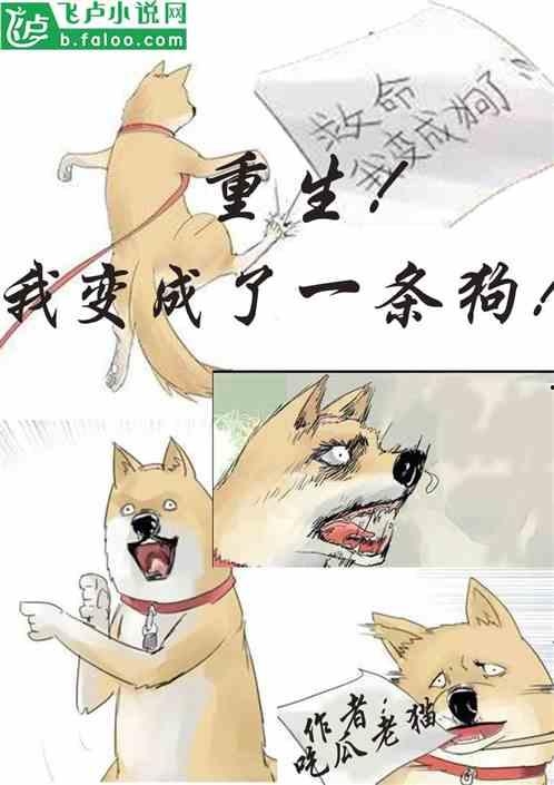 小说大白在吃瓜,一场奇幻的瓜界冒险