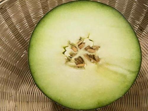 水痘吃蜜瓜,甜蜜滋味中的健康守护