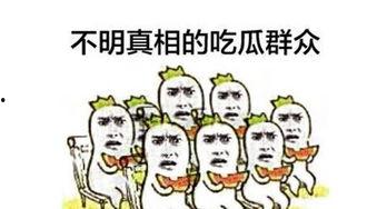 兰山吃瓜群众,揭秘民间热点事件背后的故事