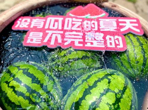 大型吃瓜,揭秘娱乐圈幕后风云