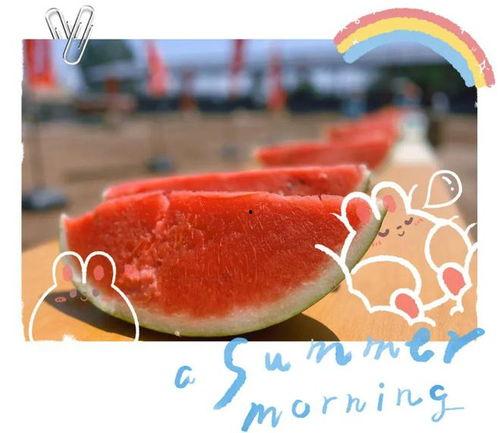 大型吃瓜,揭秘娱乐圈幕后风云