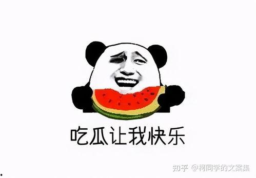 发疯文案吃瓜,揭秘娱乐圈幕后真相！