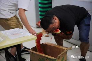 吃瓜视频群众盛宴,揭秘网络视频狂欢背后的现象