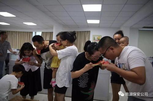 吃瓜视频群众盛宴,揭秘网络视频狂欢背后的现象