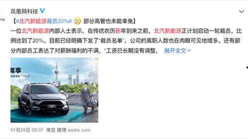 新能源吃瓜事件