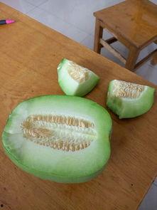 大瓜趁熟吃,把握时机，尽享美味人生