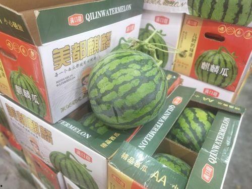 毛不易自由吃瓜基地