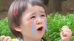 吃瓜说话录音,一场网络舆论的风暴