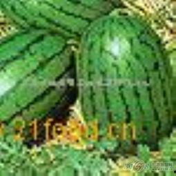 德龙最新吃瓜视频,揭秘娱乐圈幕后真相