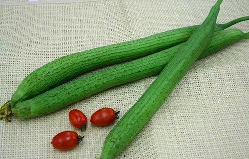 沫阳教育吃瓜,揭秘校园“吃瓜”背后的真相与反思