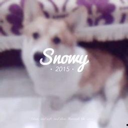 吃瓜喵女士,揭秘娱乐圈幕后故事