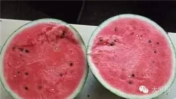 吃瓜引起胃疼,警惕夏日消暑陷阱