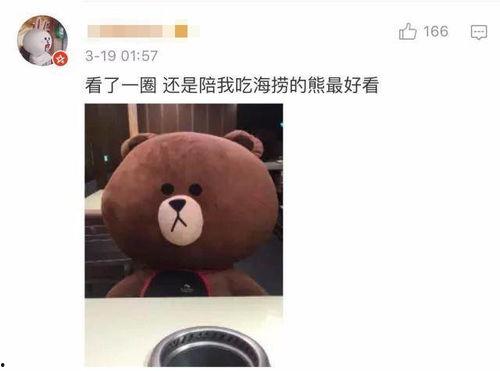 吃瓜小熊露脸视频,萌态可掬，网友热议