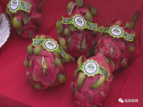 石桥吃瓜,揭秘网络热点的背后故事