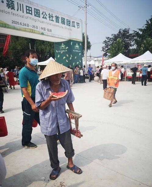 石桥吃瓜,揭秘网络热点的背后故事