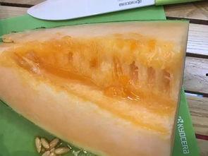 南宁柳州吃瓜,瓜果飘香，味蕾盛宴