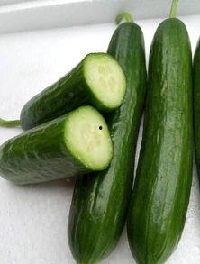 绿瓜是什么瓜 怎么吃,揭秘其吃法与美味享受