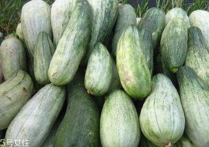 绿瓜是什么瓜 怎么吃,揭秘其吃法与美味享受