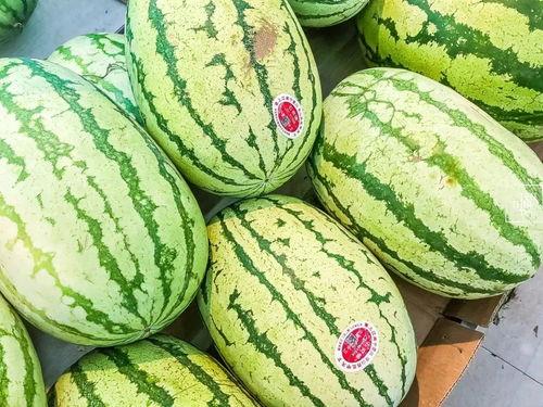 吃瓜为乐,揭秘娱乐圈幕后趣闻