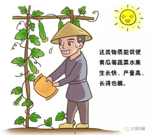 辟谣吃瓜吃坏人,辟谣吃瓜吃坏人的真相，别再被流言所惑