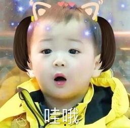 卢洋洋吃瓜表情,揭秘娱乐圈的“瓜田”风云