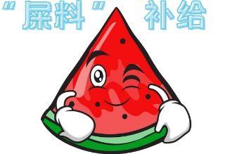 大型吃瓜现场男孩