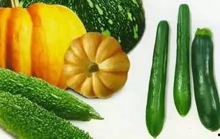 南昌吃瓜事件详情,一场网络热议背后的真相与反思