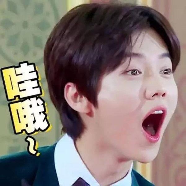 吃瓜鹿晗表情包,鹿晗表情包横扫网络，吃瓜群众笑翻天