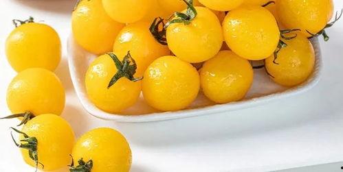 吃瓜后端,揭秘网络热点的幕后真相