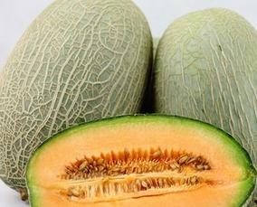 吃哈 蜜瓜吃哈密瓜好,探寻甜蜜的异域风味