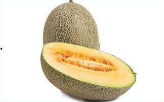 吃哈 蜜瓜吃哈密瓜好,探寻甜蜜的异域风味