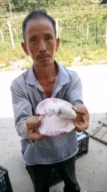 湖北吃瓜大叔微博