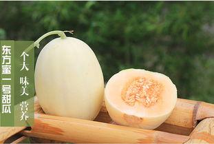 蜜瓜怎么吃不寒,轻松避寒，尽享夏日清凉