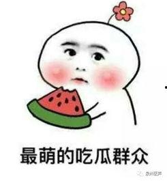 吃瓜吃爽了文案短句,吃瓜吃爽了，尽享夏日清凉