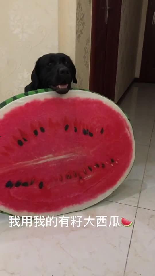 喜欢吃大瓜,揭秘那些让人欲罢不能的美食奥秘