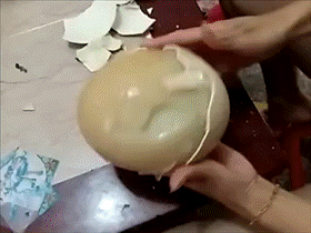 吃瓜gif出处,揭秘“吃瓜gif”走红背后的故事