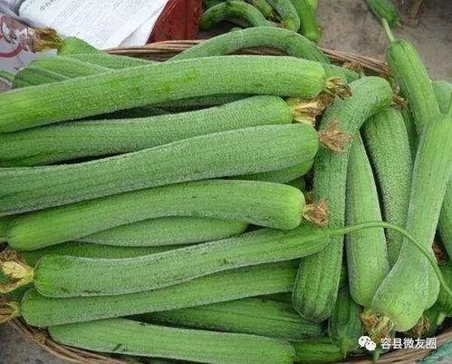 吃瓜群众这个瓜喜欢吃吗,他们究竟喜欢哪种瓜？