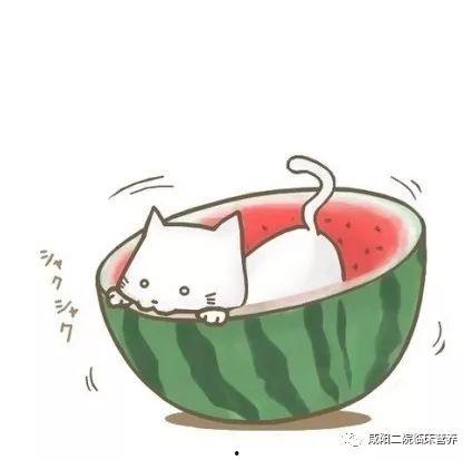 动漫头像吃瓜图片,揭秘二次元世界的趣味瞬间