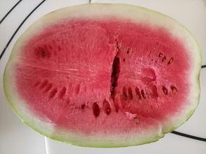 在自家吃瓜,夏日悠闲生活记