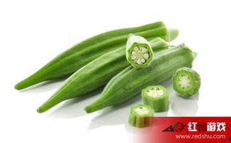 吃茭瓜会过敏吗,食用前需知的过敏问题