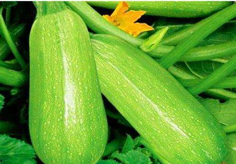 吃茭瓜会过敏吗,食用前需知的过敏问题