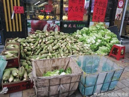 聚众吃瓜视频大全集,揭秘热门视频大全集背后的故事与笑料