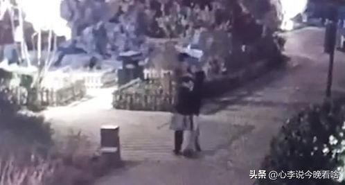 聚众吃瓜视频大全集,揭秘热门视频大全集背后的故事与笑料