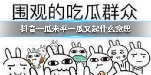 谐音抖音吃瓜,揭秘网络热点背后的真相